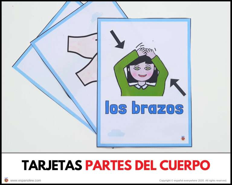 Vocabulario las partes del cuerpo. Actividades para las primeras