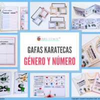 ✂💻´Gafas karatecas´. Concordancia género y número. Artículos ,plurales y vocabulario.